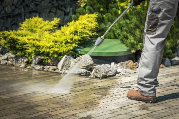Professional Pressure Washing Services in Grifton, NC